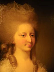 Luise Auguste von Dänemark