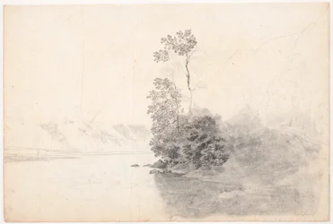 Schweizer Landschaft mit Bäumen auf einer Landzunge in einem See