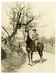 Roland Young