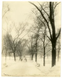 The Common, Boston, USA, ca. 1902-10