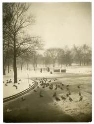 Ungewöhnlich kalt im Common, Boston, USA, ca. 1902-10
