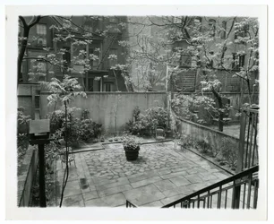 Hinterhof mit Vogelhaus, New York, USA, ca. 1905-40