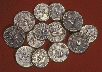 Ein Hort von Schekel, herodianisches Jerusalem, ca. 66-70 n. Chr.