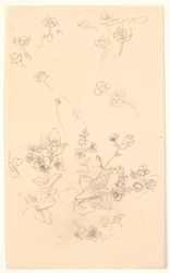 Blumenstudien
