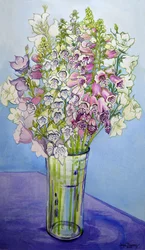 Fingerhüte und Glockenblumen