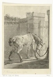 Ein Pferd an einen Pfahl gebunden