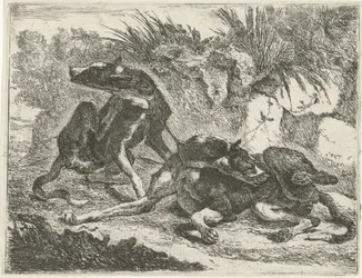 Zwei Hunde (Honden)