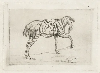 Gesatteltes Pferd