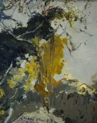 Baum
