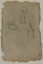 Studien eines Stiers, 1864
