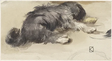 Schlafender Hund, von hinten gesehen
