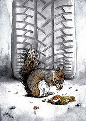 Eichhörnchen bei Reifenspur