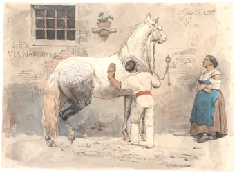 Ein grauschimmelndes Pferd wird in der Via Margutta gestriegelt