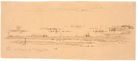 Vordergrundstudie eines Seeufers