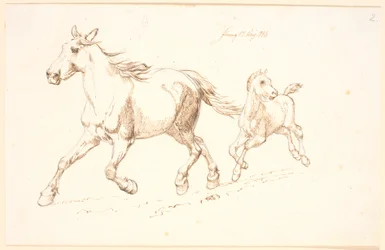 Galoppierende Stute mit Fohlen
