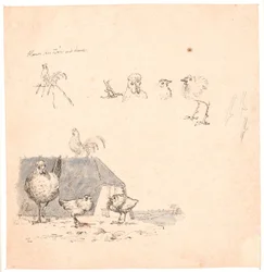 Die Hähnchen. Illustration zu Kaalunds "Fabler for Børn". Siehe Kommentar aus dem Arkatalog.