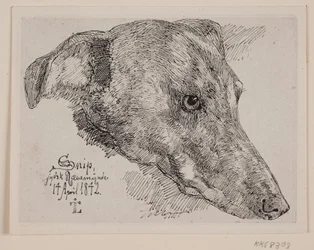 Hundekopf, Snip