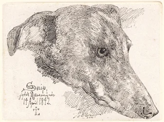 Hundekopf, Snip