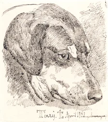 Hundekopf, Terry