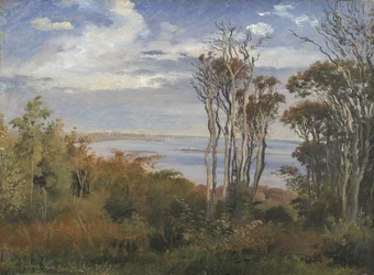 Kolås Wald, Vejrhøj