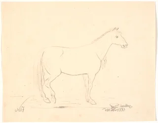 Stehendes Pferd im Profil nach rechts