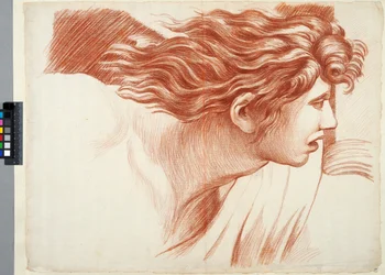 Akademiezeichnung. Detail aus Raffaels „Vertreibung des Heliodor aus dem Tempel“ im Vatikan, ein Kopf