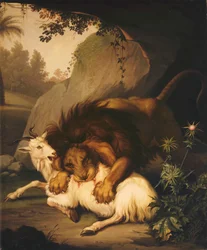 Ein Löwe greift eine Ziege an, 1785