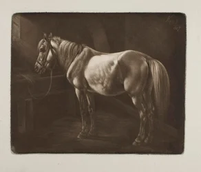 Pferd an der Krippe