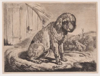 Sitzender Hund