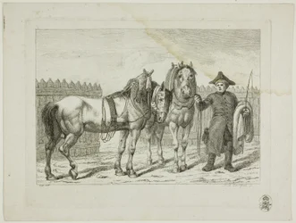 Reitschule und Pferde