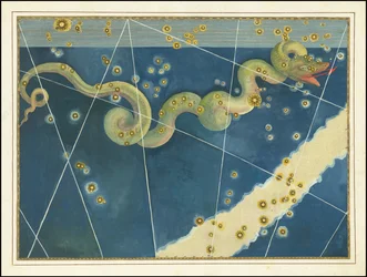 Hydra - Johann Bayer