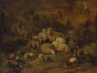 Schafe, Ziegen und Hühner