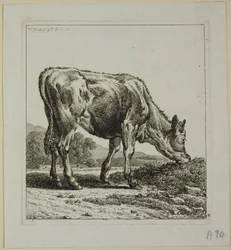 Kalb füttern, aus Die Zweite Thierfolge