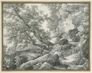 Felslandschaft mit Bäumen