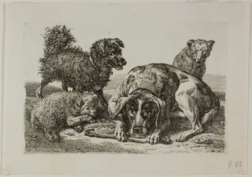 Vier Hunde, aus Die Zweite Thierfolge