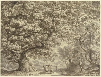 Landschaft
