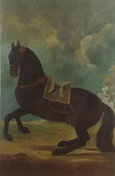 Der Bay-Hengst mit spanischem Sattel