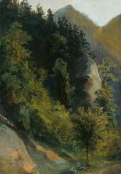 Bewaldetes Felstal mit Ziegen