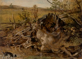 Modernder Baumstumpf und Jagdhund