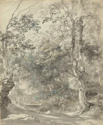 Waldlandschaft mit Kühen