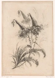 Spitze Blumen