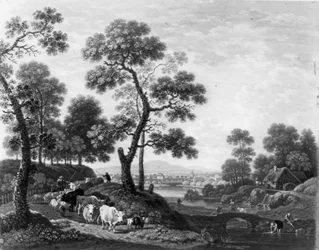 Landschaft mit Rindern