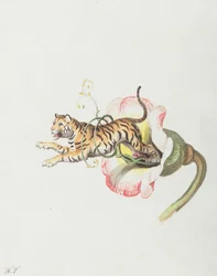 Tiger springt aus einer Blumenkronen. Allegorie auf Blumensamen, 1817