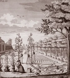 Illustration einer Gartenszene, 1753