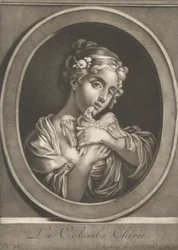 Die geliebte Taube