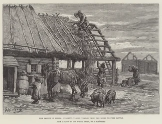 Die Hungersnot in Russland, Bauern nehmen Stroh von den Dächern, um Vieh zu füttern