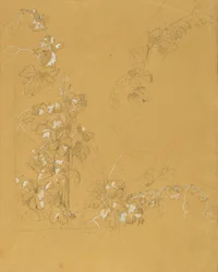 Weinstock, Studie zu "Hermann und Dorothea im Weinberg"