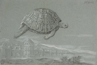 Studie einer Schildkröte und Aussicht auf eine befestigte Stadt am Meer (Venedig)