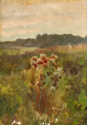 Landschaft in Niederösterreich