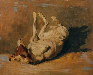 Sich wälzender Hund